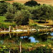 Golestan National Park