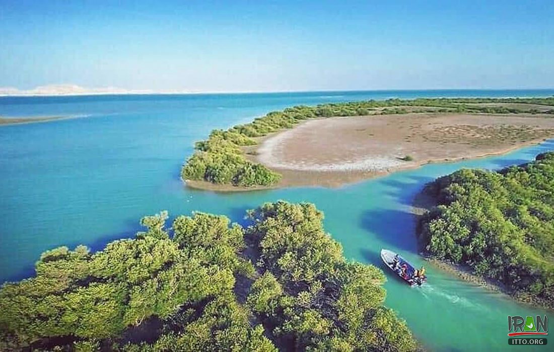 The Hara forests, covering an area of 27,310 hectares in southern Iran, is a key biodiversity site due to its remarkable Avicennia mangrove ecosystem.