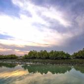 Hara Forest Protected Area in Qeshm Island