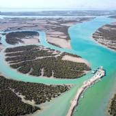 Hara Forest: Qeshm Island Eco Tourism