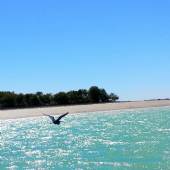 Hara Forest Protected Area in Qeshm Island