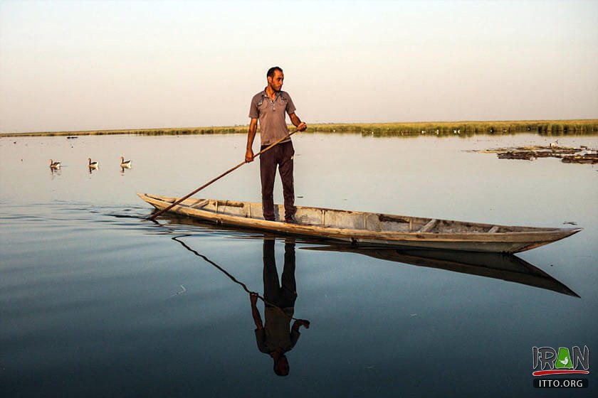 Helleh Wetland,Helleh Protected Area,مرداب حله,مرداب هله,منطقه حفاظت شده هله,منطقه حفاظت شده حله,فلامینگووflamenco,hele wetland,helle wetland,boushehr province,استان بوشهر,bushehr province,borazjan nature,طبیعت برازجان,bushehr protected area,boushehr protected zone,persian gulf protected zone,منطقه حفاظت شده خلیج فارس,منطقه حفاظت شده برازجان,Shapour river,رودشاپور,رودخانه شاپور,رودخانه دالکی,رود دلکی,dalaki river,dalaky river,Helleh River,رود حله