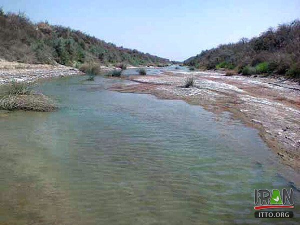 Helleh Wetland,Helleh Protected Area,مرداب حله,مرداب هله,منطقه حفاظت شده هله,منطقه حفاظت شده حله,فلامینگووflamenco,hele wetland,helle wetland,boushehr province,استان بوشهر,bushehr province,borazjan nature,طبیعت برازجان,bushehr protected area,boushehr protected zone,persian gulf protected zone,منطقه حفاظت شده خلیج فارس,منطقه حفاظت شده برازجان,Shapour river,رودشاپور,رودخانه شاپور,رودخانه دالکی,رود دلکی,dalaki river,dalaky river,Helleh River,رود حله