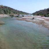 Heleh Protected Area near Bushehr