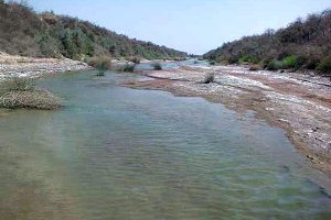 Heleh Protected Area near Bushehr