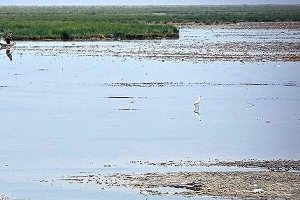 Heleh Protected Area near Bushehr
