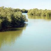 Heleh Protected Area near Bushehr