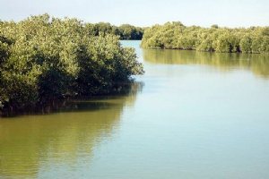 Heleh Protected Area near Bushehr