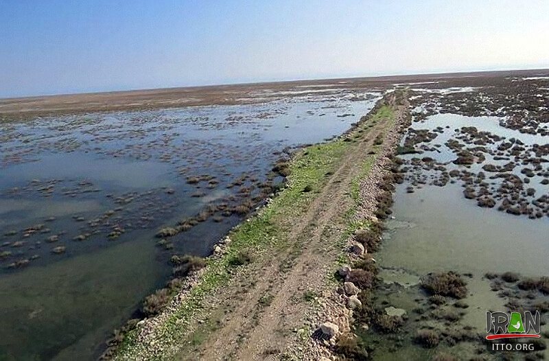 Helleh Wetland,Helleh Protected Area,مرداب حله,مرداب هله,منطقه حفاظت شده هله,منطقه حفاظت شده حله,فلامینگووflamenco,hele wetland,helle wetland,boushehr province,استان بوشهر,bushehr province,borazjan nature,طبیعت برازجان,bushehr protected area,boushehr protected zone,persian gulf protected zone,منطقه حفاظت شده خلیج فارس,منطقه حفاظت شده برازجان,Shapour river,رودشاپور,رودخانه شاپور,رودخانه دالکی,رود دلکی,dalaki river,dalaky river,Helleh River,رود حله