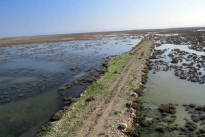 Heleh Protected Area near Bushehr
