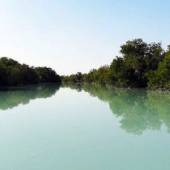Heleh Protected Area near Bushehr