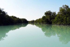 Heleh Protected Area near Bushehr