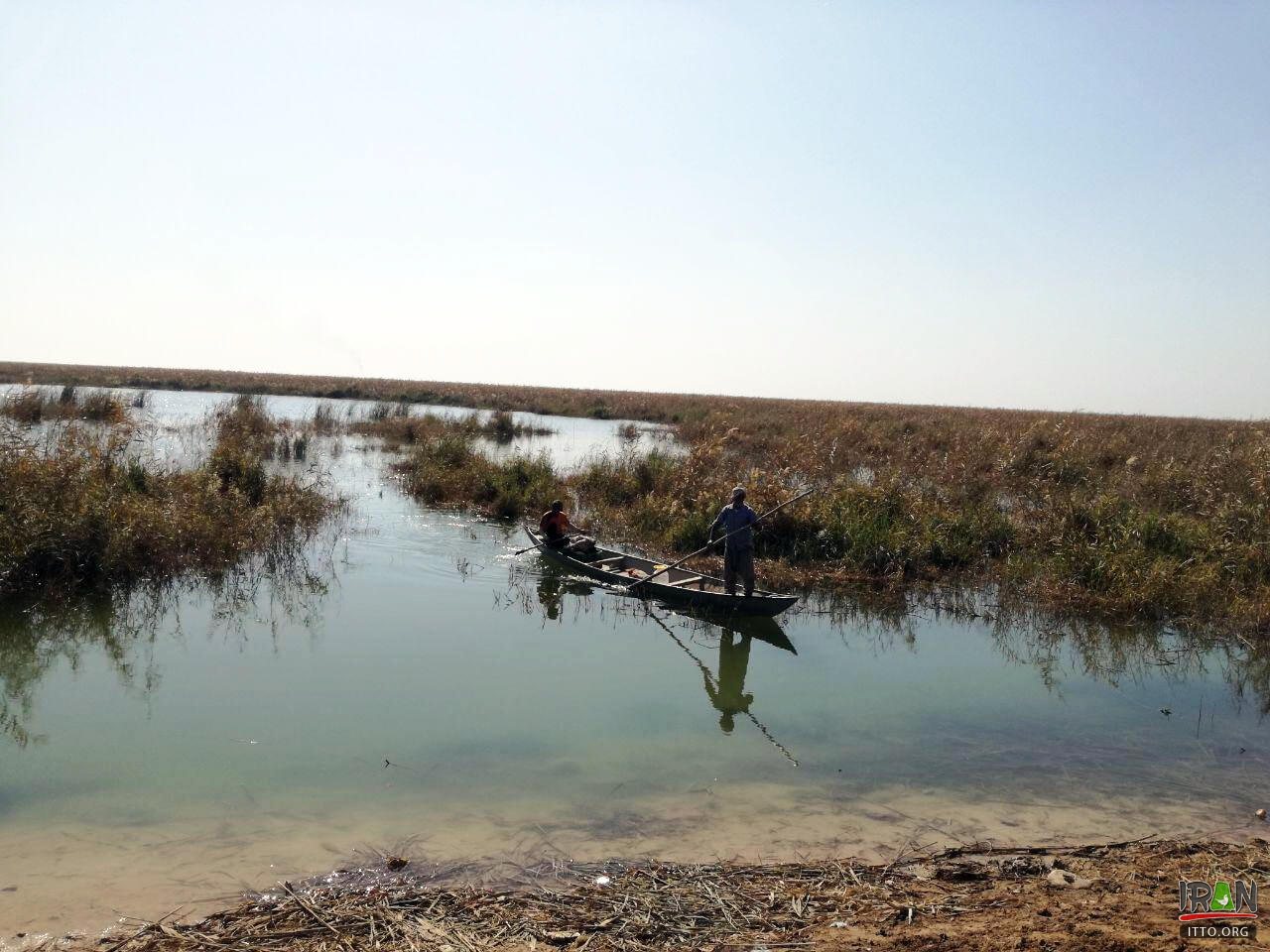 Hoor-ol-Azim Wetland,Hawizeh Marshes,Hoor-ol Hoveyzeh,Hoorolazim Protected Area,hurolazim wetland,تالاب هور العظیم,سوسنگرد,khuzestan,karkheh,hoveizeh,huweizeh,susanger,هویزه,خوزستان,کرخه,hur ol azim,hourolazim,horolazim,hor alazim wetland,Karkheh River,رودکرخه,رودخانه کرخه,هور بزرگ الهویزه,هور الهويزه