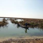 Hawizeh Marshes (Khuzestan Province)