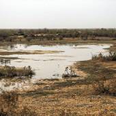 Hoorolazim pond near Ahwaz (Khuzestan Province)