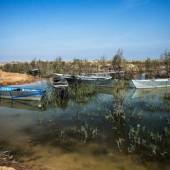 Hoorolazim Wetlands - Hoveyzeh (Khuzestan Province)