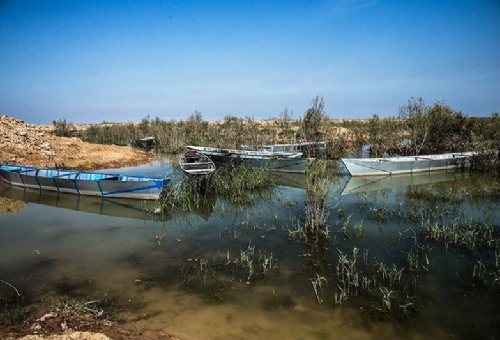 Hoorolazim Wetlands in Ahvaz