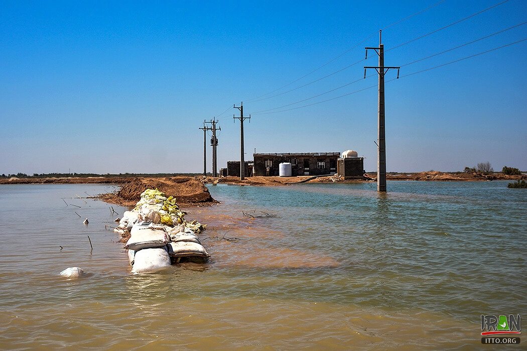 Hoor-ol-Azim Wetland,Hawizeh Marshes,Hoor-ol Hoveyzeh,Hoorolazim Protected Area,hurolazim wetland,تالاب هور العظیم,سوسنگرد,khuzestan,karkheh,hoveizeh,huweizeh,susanger,هویزه,خوزستان,کرخه,hur ol azim,hourolazim,horolazim,hor alazim wetland,Karkheh River,رودکرخه,رودخانه کرخه,هور بزرگ الهویزه,هور الهويزه