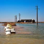 Hoorolazim Wetlands - Hoveyzeh (Khuzestan Province)