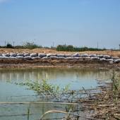 Hoorolazim Wetlands - Hoveyzeh (Khuzestan Province)