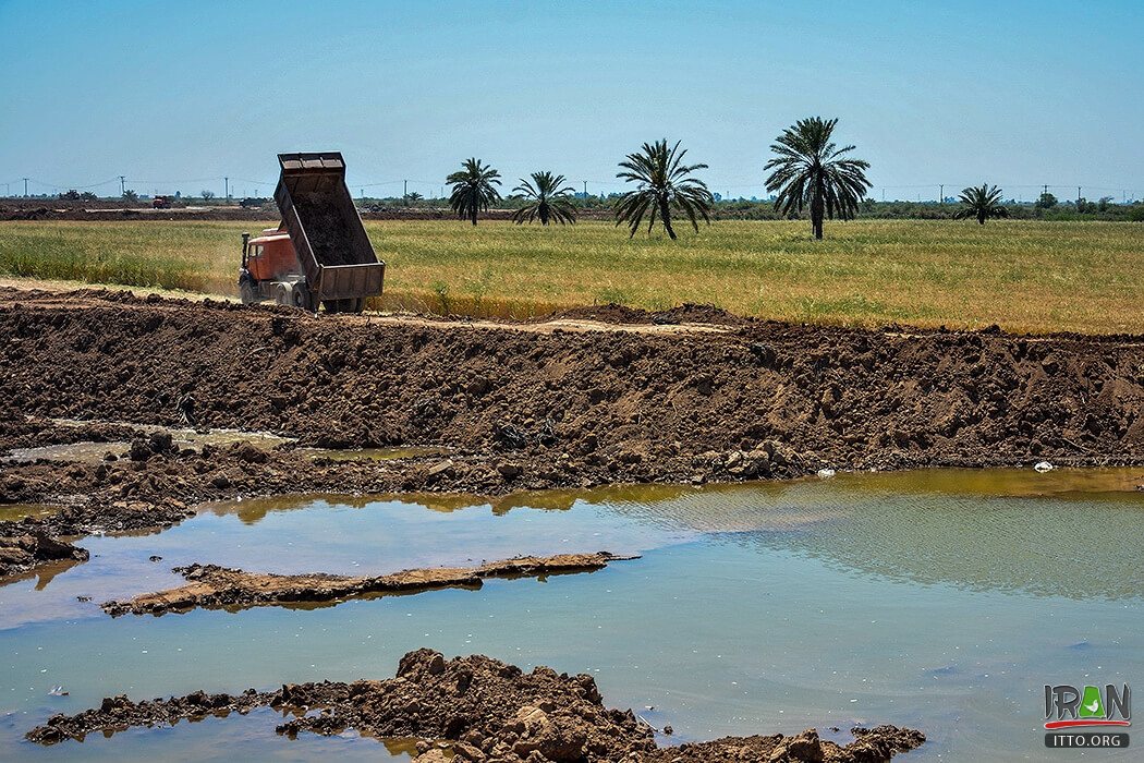 Hoor-ol-Azim Wetland,Hawizeh Marshes,Hoor-ol Hoveyzeh,Hoorolazim Protected Area,hurolazim wetland,تالاب هور العظیم,سوسنگرد,khuzestan,karkheh,hoveizeh,huweizeh,susanger,هویزه,خوزستان,کرخه,hur ol azim,hourolazim,horolazim,hor alazim wetland,Karkheh River,رودکرخه,رودخانه کرخه,هور بزرگ الهویزه,هور الهويزه