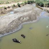 Hoorolazim Wetlands - Hoveyzeh (Khuzestan Province)