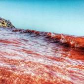 Silver and Red Beach of Hormuz