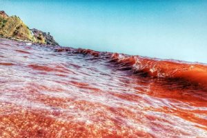 Silver and Red Beach of Hormuz