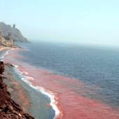 Silver and Red Beach of Hormuz