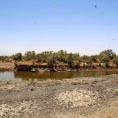 Hoorolazim Wetlands - Hoveyzeh (Khuzestan Province)