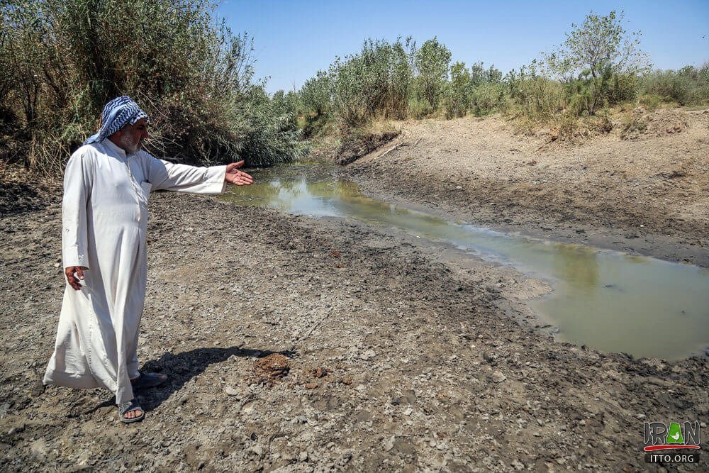 Hoor-ol-Azim Wetland,Hawizeh Marshes,Hoor-ol Hoveyzeh,Hoorolazim Protected Area,hurolazim wetland,تالاب هور العظیم,سوسنگرد,khuzestan,karkheh,hoveizeh,huweizeh,susanger,هویزه,خوزستان,کرخه,hur ol azim,hourolazim,horolazim,hor alazim wetland,Karkheh River,رودکرخه,رودخانه کرخه,هور بزرگ الهویزه,هور الهويزه