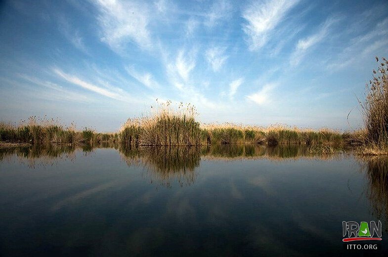Hoor-ol-Azim Wetland,Hawizeh Marshes,Hoor-ol Hoveyzeh,Hoorolazim Protected Area,hurolazim wetland,تالاب هور العظیم,سوسنگرد,khuzestan,karkheh,hoveizeh,huweizeh,susanger,هویزه,خوزستان,کرخه,hur ol azim,hourolazim,horolazim,hor alazim wetland,Karkheh River,رودکرخه,رودخانه کرخه,هور بزرگ الهویزه,هور الهويزه