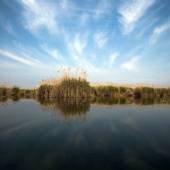 Hoorolazim Wetlands - Hoveyzeh (Khuzestan Province)