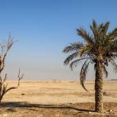 Hoorolazim Wetlands - Hoveyzeh (Khuzestan Province)
