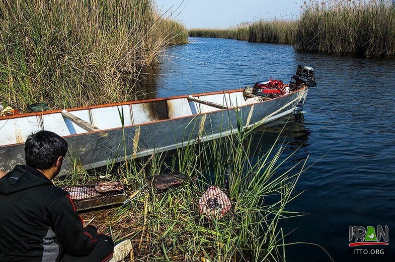 Hoor-ol-Azim Wetland,Hawizeh Marshes,Hoor-ol Hoveyzeh,Hoorolazim Protected Area,hurolazim wetland,تالاب هور العظیم,سوسنگرد,khuzestan,karkheh,hoveizeh,huweizeh,susanger,هویزه,خوزستان,کرخه,hur ol azim,hourolazim,horolazim,hor alazim wetland,Karkheh River,رودکرخه,رودخانه کرخه,هور بزرگ الهویزه,هور الهويزه