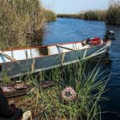 Hoorolazim Wetlands - Hoveyzeh (Khuzestan Province)