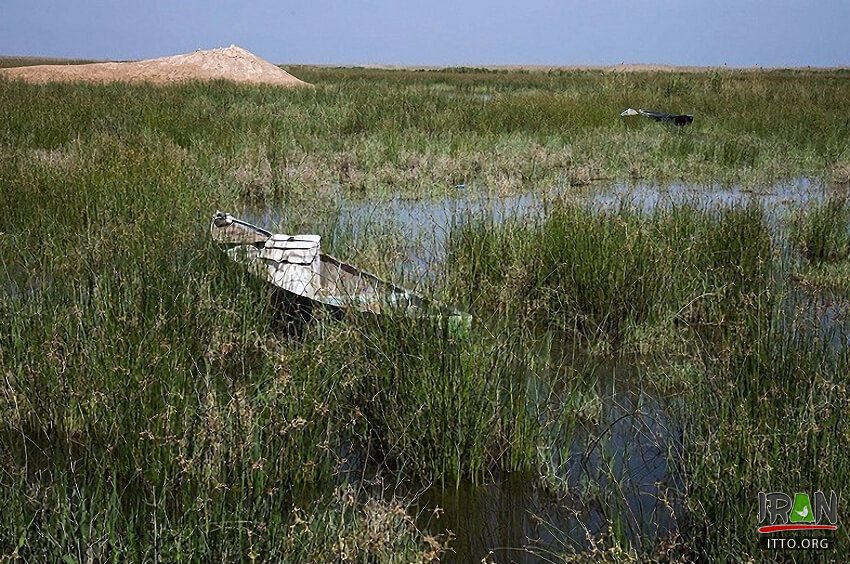 Hoor-ol-Azim Wetland,Hawizeh Marshes,Hoor-ol Hoveyzeh,Hoorolazim Protected Area,hurolazim wetland,تالاب هور العظیم,سوسنگرد,khuzestan,karkheh,hoveizeh,huweizeh,susanger,هویزه,خوزستان,کرخه,hur ol azim,hourolazim,horolazim,hor alazim wetland,Karkheh River,رودکرخه,رودخانه کرخه,هور بزرگ الهویزه,هور الهويزه
