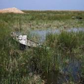 Hoorolazim pond near Ahvaz (Khuzestan Province)