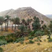 Ilud village near Bastak - Hormozgan Province