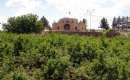 Imamzadeh Seyed Hasan Mir-Abaad (Thumbnail)