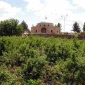 Imamzadeh Seyed Hasan Mir-Abaad