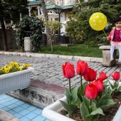 Iranian Art Museum Garden - Tehran