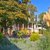 Iranian Art Museum Garden - Tehran