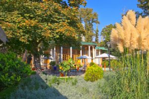Iranian Art Museum Garden - Tehran