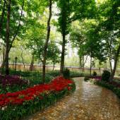 Iranian Garden - Tehran