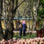 Iranian Garden - Tehran