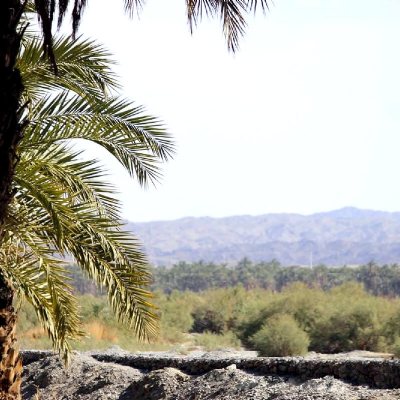 IranShahr Attractions & Tourist Information