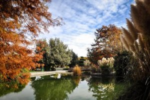 Isfahan Flower Garden