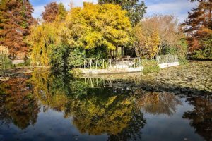 Isfahan Flower Garden