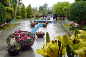 Isfahan Flower Garden
